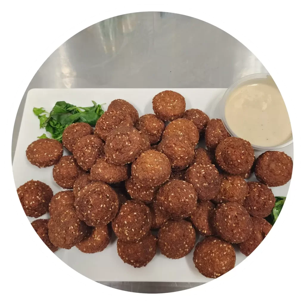 falafel platter from tibas for parents in junior, lunar and elite parties at airborn